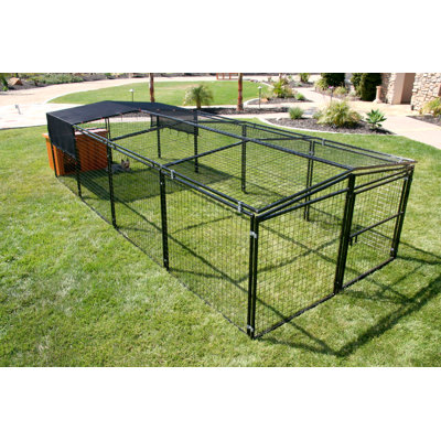 Extra Large Chicken Runs You'll Love | Wayfair